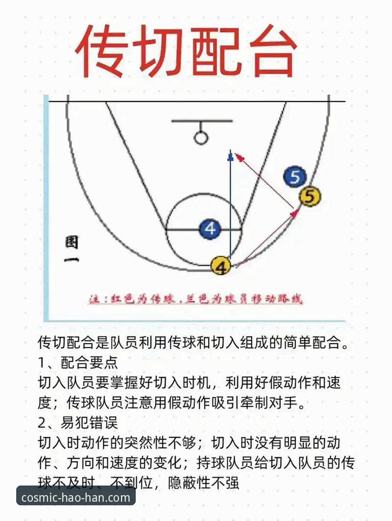 新手观赛指南：通过浩瀚体育手机App学习陈幸同横扫战术的操作教程